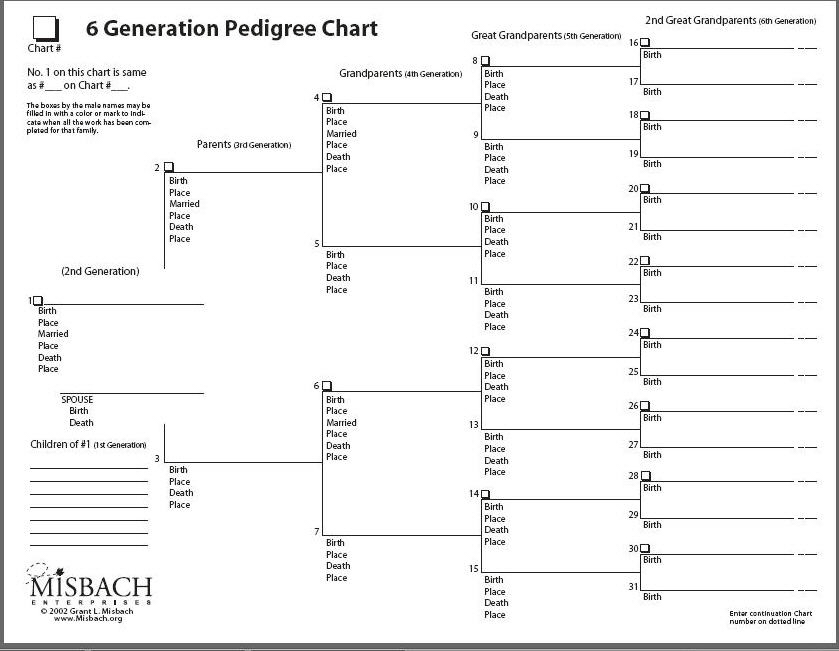 About Genealogy Pedigree Chart